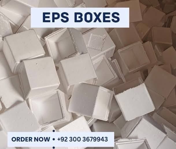 Meat Box Price in Pakistan — EPS Insulated Meat Packaging